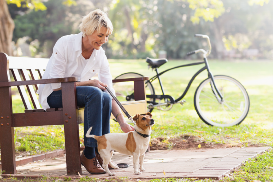 A woman sitting on a park bench petting a dog