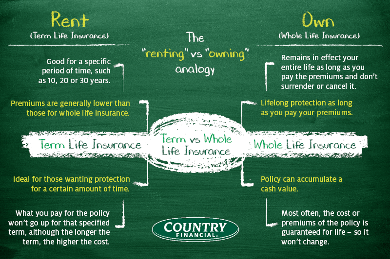 Term vs Whole life insurance graphic