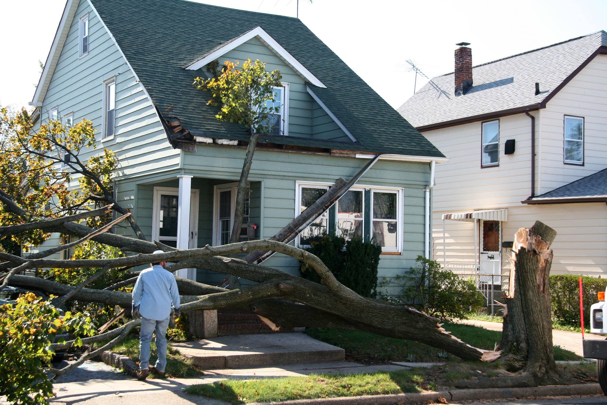 A house with several fallen trees after a windstorm.