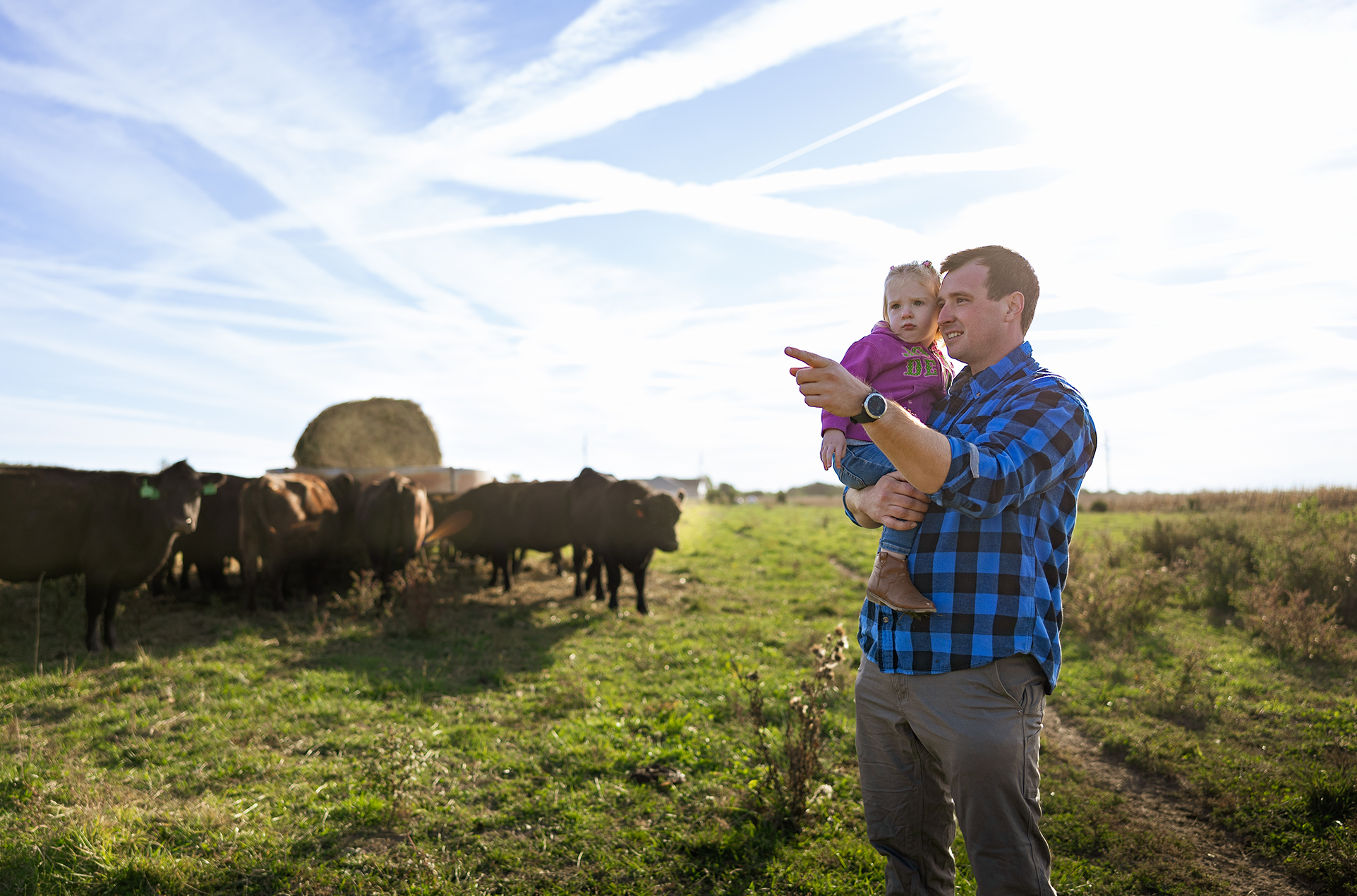 A man holding his young daughter while standing in a pasture with cows in the background.