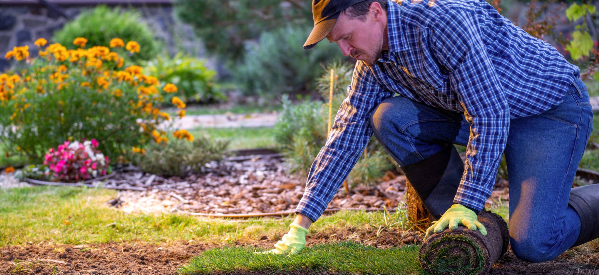 Landscaper laying sod for lawn