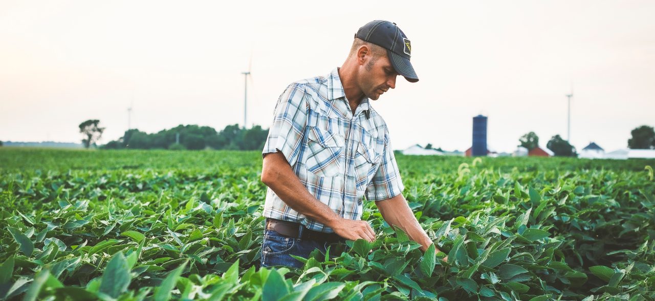 Young farmer with a hat working in the field