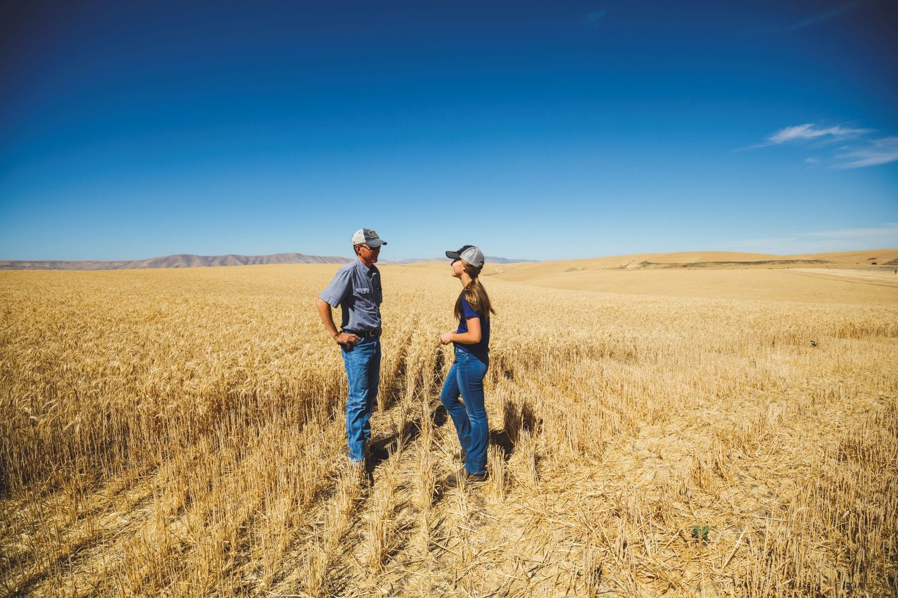 Crop Insurance
