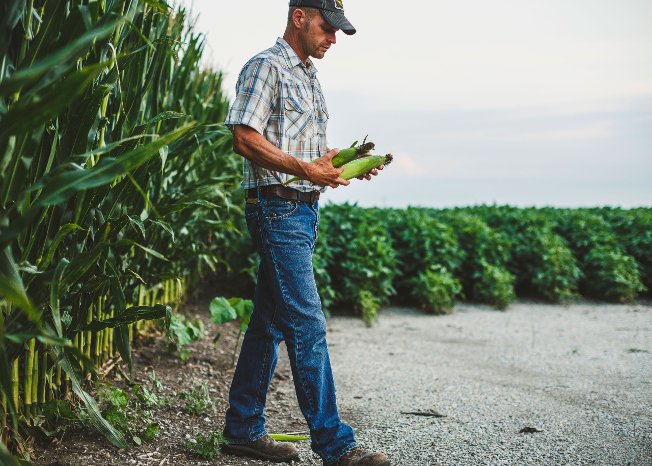 Types of Crop Insurance