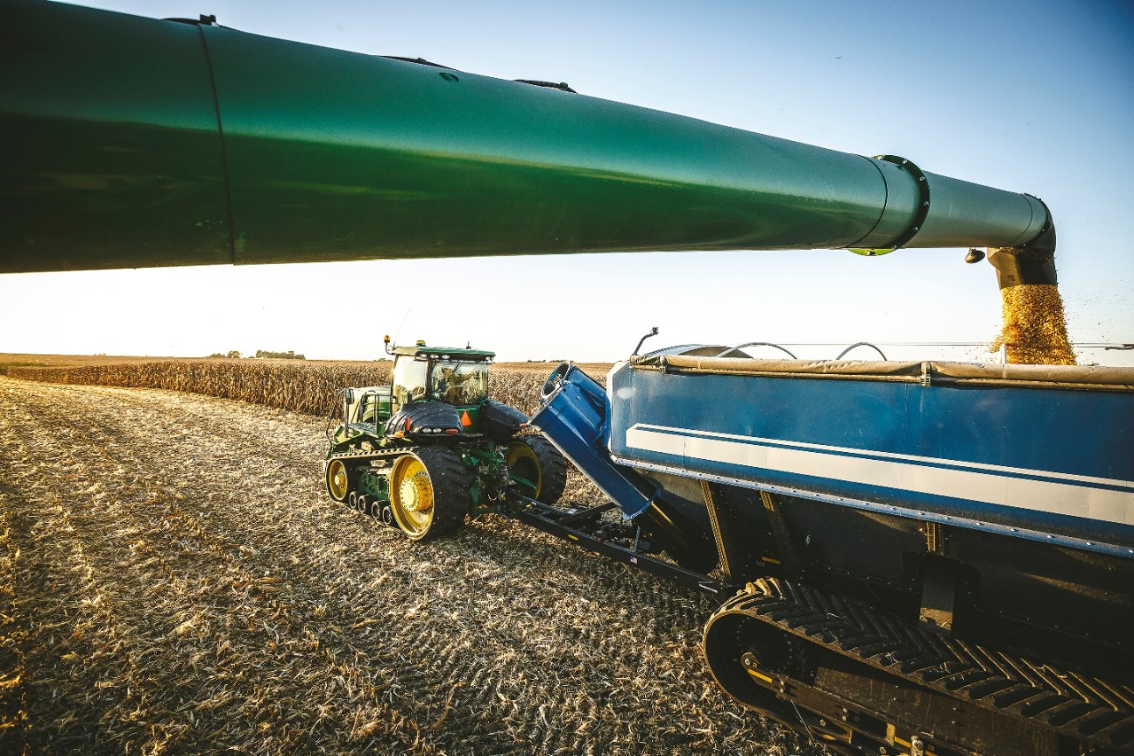 Farm tractors in corn field
